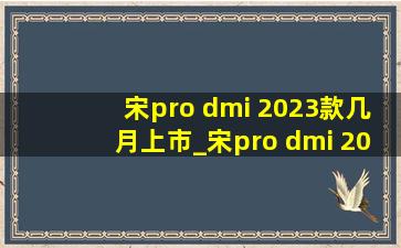 宋pro dmi 2023款几月上市_宋pro dmi 2023款几座车